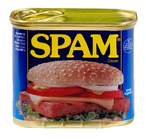 Spam Cuisine Can